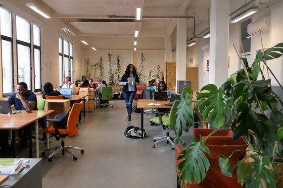Offener Coworking-Raum mit Holztischen, Laptops und Grünpflanzen, an dem mehrere Leute arbeiten