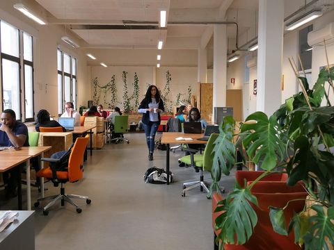 Offener Coworking-Raum mit Holztischen, Laptops und Grünpflanzen, an dem mehrere Leute arbeiten